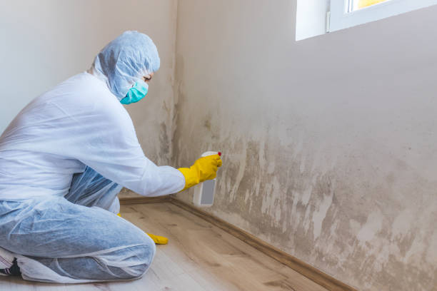 Licensed Mold Remediation service in Manchester, VA - 24 Hour Mold Removal