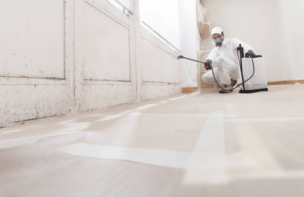 24/7 Emergency Mold Remediation experts in Manchester, VA