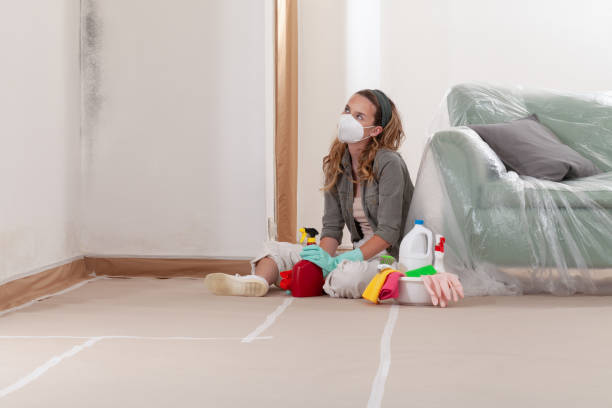 Reliable Mold Remediation contractor in Manchester, VA by 24 Hour Mold Removal