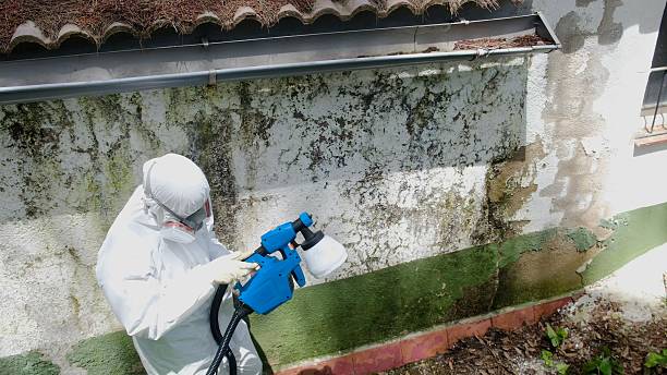 Top rated local Mold Remediation specialists in Manchester, VA